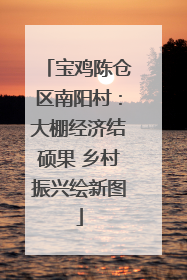 宝鸡陈仓区南阳村：大棚经济结硕果 乡村振兴绘新图