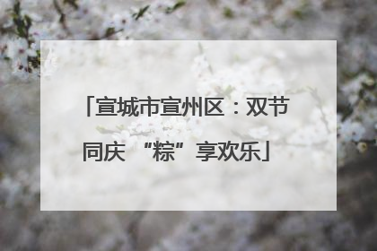 宣城市宣州区：双节同庆 “粽”享欢乐