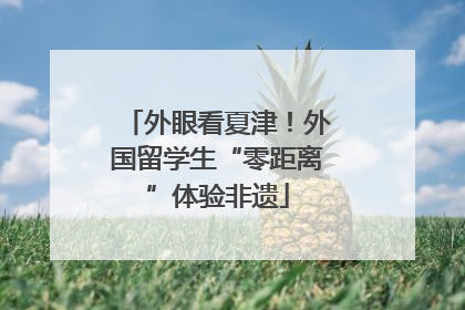 外眼看夏津！外国留学生“零距离”体验非遗