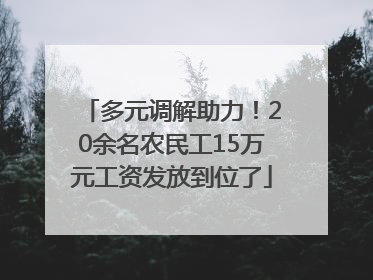 多元调解助力！20余名农民工15万元工资发放到位了