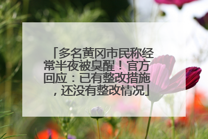 多名黄冈市民称经常半夜被臭醒！官方回应：已有整改措施，还没有整改情况