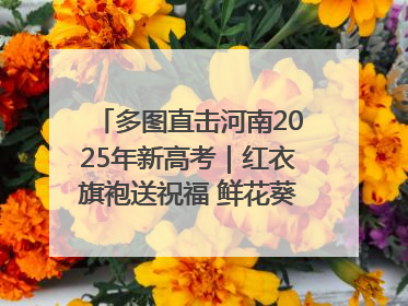 多图直击河南2025年新高考｜红衣旗袍送祝福 鲜花葵花助梦圆——尉氏县高考暖心送考