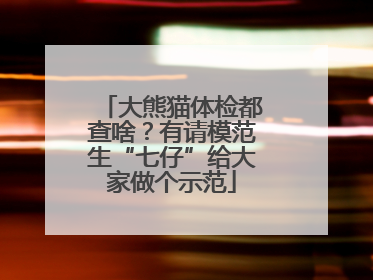 大熊猫体检都查啥？有请模范生“七仔”给大家做个示范