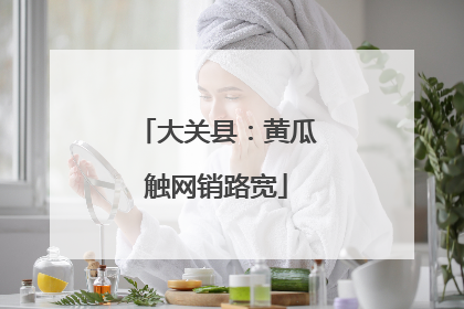 大关县：黄瓜触网销路宽