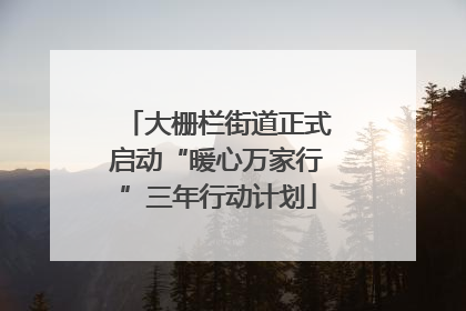 大栅栏街道正式启动“暖心万家行”三年行动计划