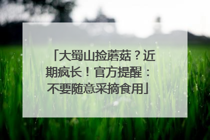 大蜀山捡蘑菇？近期疯长！官方提醒：不要随意采摘食用