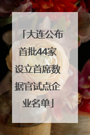 大连公布首批44家设立首席数据官试点企业名单