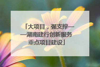 大项目，强支撑——湖南建行创新服务重点项目建设