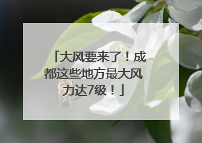 大风要来了！成都这些地方最大风力达7级！