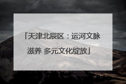 天津北辰区：运河文脉滋养 多元文化绽放