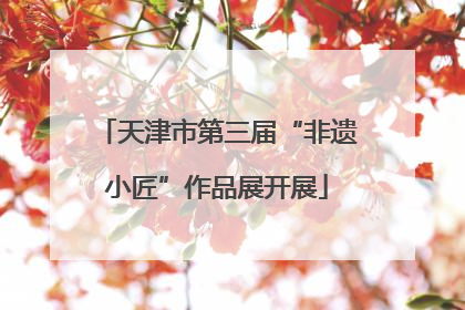 天津市第三届“非遗小匠”作品展开展