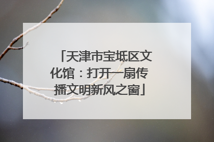 天津市宝坻区文化馆:打开一扇传播文明新风之窗