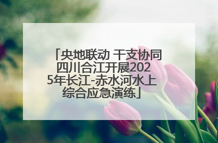央地联动 干支协同 四川合江开展2025年长江-赤水河水上综合应急演练