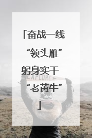 奋战一线“领头雁” 躬身实干“老黄牛”