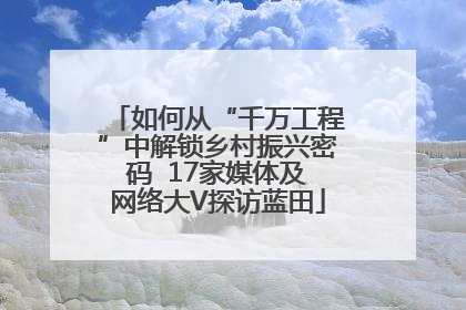 如何从“千万工程”中解锁乡村振兴密码  17家媒体及网络大V探访蓝田