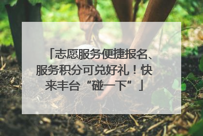 志愿服务便捷报名、服务积分可兑好礼！快来丰台“碰一下”