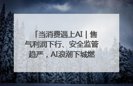 当消费遇上AI｜售气利润下行、安全监管趋严，AI浪潮下城燃企业如何破局