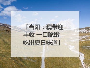当阳：藕带迎丰收 一口脆嫩吃出夏日味道