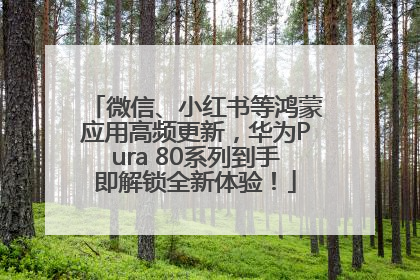 微信、小红书等鸿蒙应用高频更新，华为Pura 80系列到手即解锁全新体验！