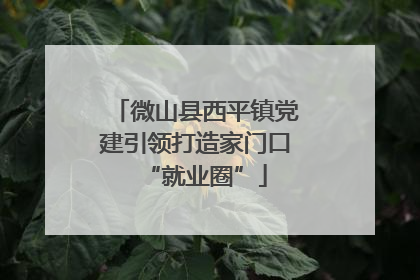 微山县西平镇党建引领打造家门口“就业圈”