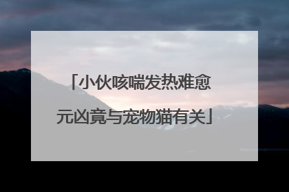 小伙咳喘发热难愈 元凶竟与宠物猫有关