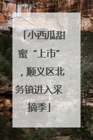 小西瓜甜蜜“上市”，顺义区北务镇进入采摘季