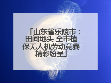山东省乐陵市：田间地头 全市植保无人机劳动竞赛精彩纷呈