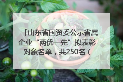 山东省国资委公示省属企业“两优一先”拟表彰对象名单，共250名（个）党员和党组织