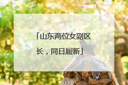 山东两位女副区长，同日履新