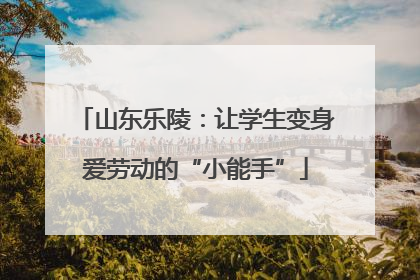 山东乐陵：让学生变身爱劳动的“小能手”