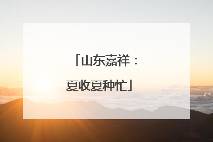 山东嘉祥：夏收夏种忙