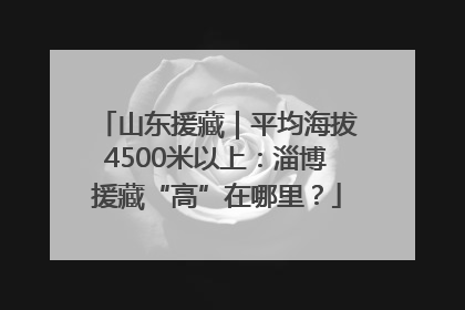山东援藏｜平均海拔4500米以上：淄博援藏“高”在哪里？