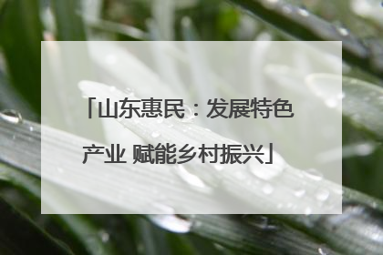 山东惠民：发展特色产业 赋能乡村振兴