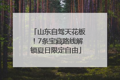 山东自驾天花板！7条宝藏路线解锁夏日限定自由