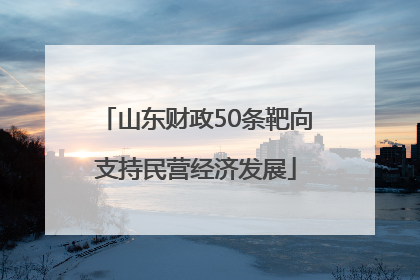 山东财政50条靶向支持民营经济发展