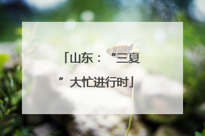 山东：“三夏”大忙进行时