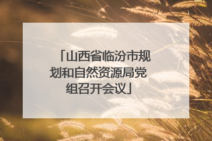 山西省临汾市规划和自然资源局党组召开会议