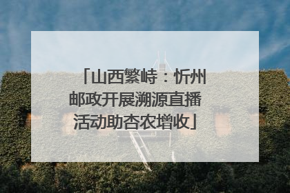 山西繁峙：忻州邮政开展溯源直播活动助杏农增收