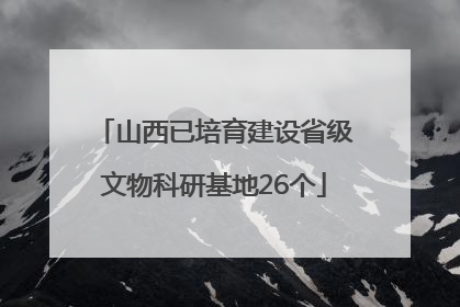 山西已培育建设省级文物科研基地26个