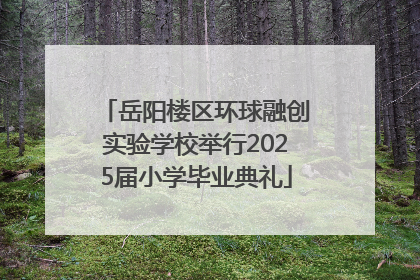 岳阳楼区环球融创实验学校举行2025届小学毕业典礼