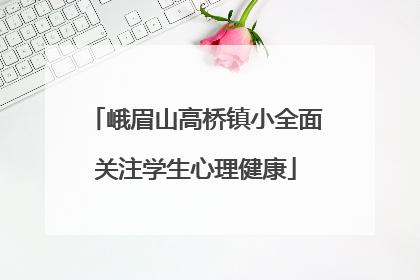 峨眉山高桥镇小全面关注学生心理健康