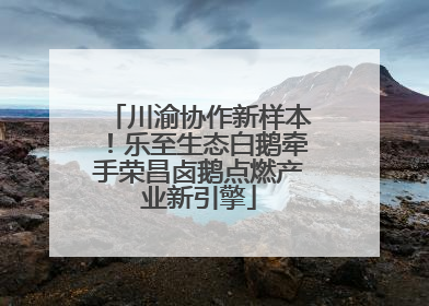 川渝协作新样本！乐至生态白鹅牵手荣昌卤鹅点燃产业新引擎