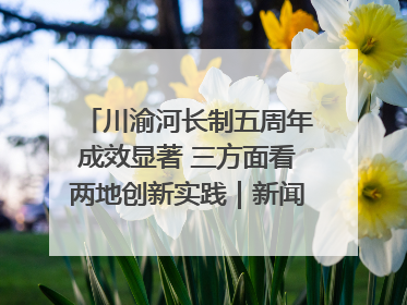 川渝河长制五周年成效显著 三方面看两地创新实践｜新闻发布最前线