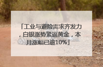 工业与避险需求齐发力，白银涨势紧逼黄金，本月涨幅已逾10%