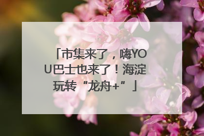 市集来了，嗨YOU巴士也来了！海淀玩转“龙舟+”