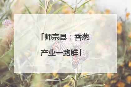 师宗县：香葱产业一路鲜