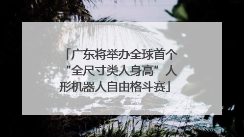 广东将举办全球首个“全尺寸类人身高”人形机器人自由格斗赛