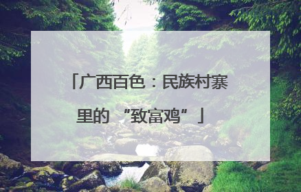 广西百色：民族村寨里的 “致富鸡”