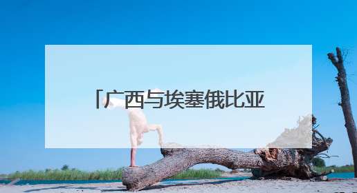 广西与埃塞俄比亚开展经贸合作交流