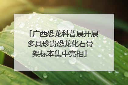 广西恐龙科普展开展 多具珍贵恐龙化石骨架标本集中亮相